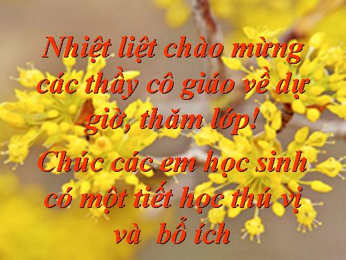 Bài 10. Thông tin về Ngày Trái Đất năm 2000