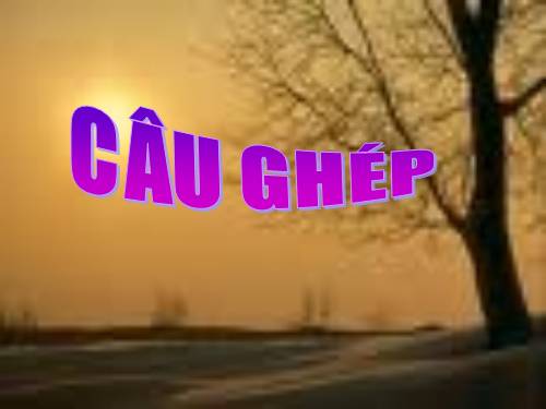 Bài 11. Câu ghép