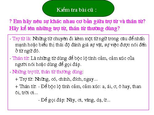 Bài 7. Tình thái từ