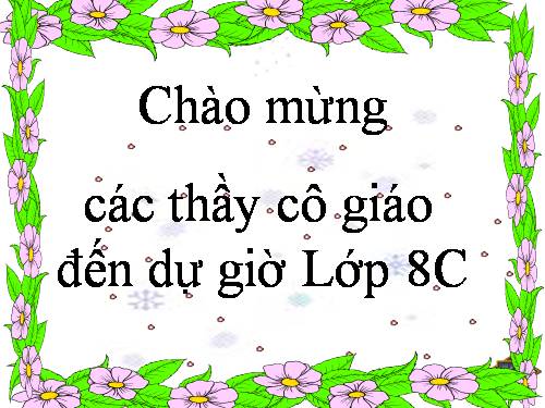 Bài 7. Đánh nhau với cối xay gió