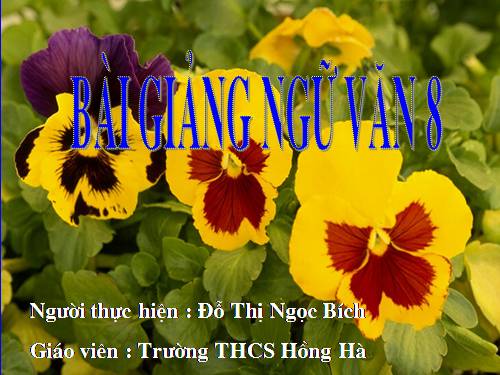 Bài 26. Thuế máu