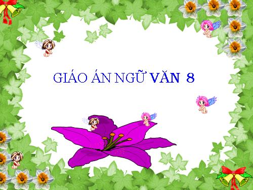 Bài 27. Đi bộ ngao du