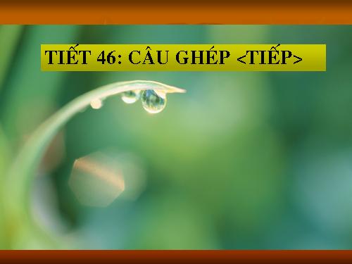 Bài 12. Câu ghép (tiếp theo)