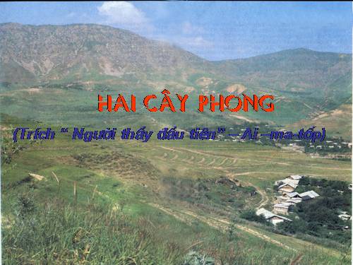 Bài 9. Hai cây phong