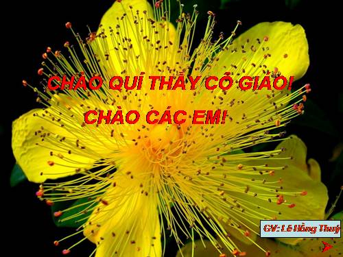 Bài 21. Câu cảm thán