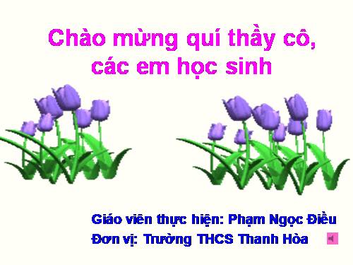 Bài 13. Dấu ngoặc đơn và dấu hai chấm