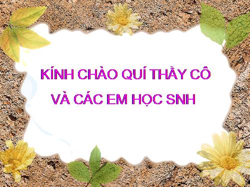 Bài 13. Dấu ngoặc đơn và dấu hai chấm