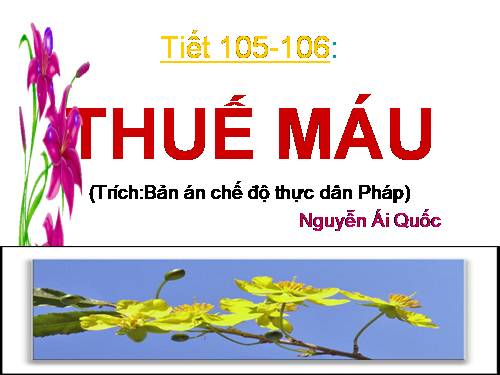 Bài 26. Thuế máu