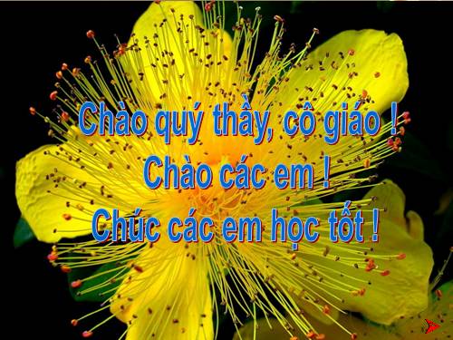 Bài 21. Câu cảm thán