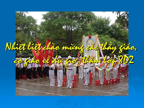 Bài 27. Luyện tập đưa yếu tố biểu cảm vào bài văn nghị luận