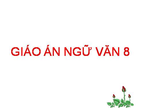 Bài 19. Quê hương