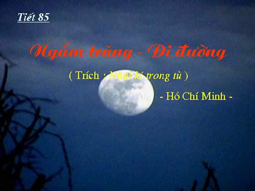 Bài 21. Ngắm trăng (Vọng nguyệt)