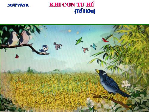 Bài 19. Khi con tu hú