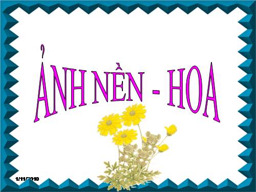 ẢNH NỀN ĐẸP