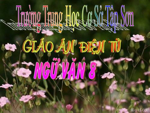 Bài 20. Tức cảnh Pác Bó