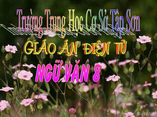 Bài 4. Từ tượng hình, từ tượng thanh