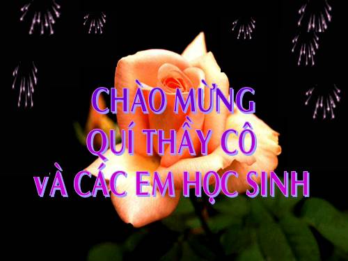 Bài 15. Vào nhà ngục Quảng Đông cảm tác