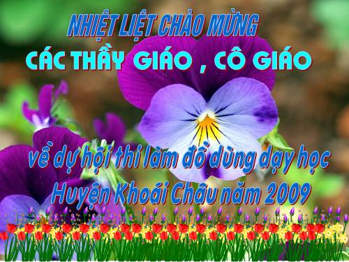 Chan dung các tác giả ngữ văn 8