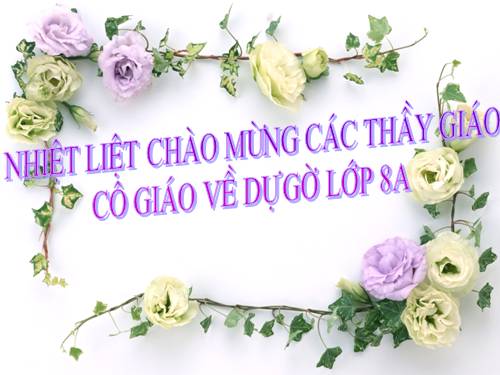 Bài 13. Dấu ngoặc đơn và dấu hai chấm