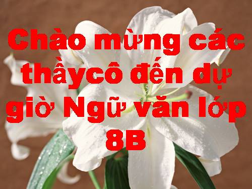 Bài 15. Vào nhà ngục Quảng Đông cảm tác