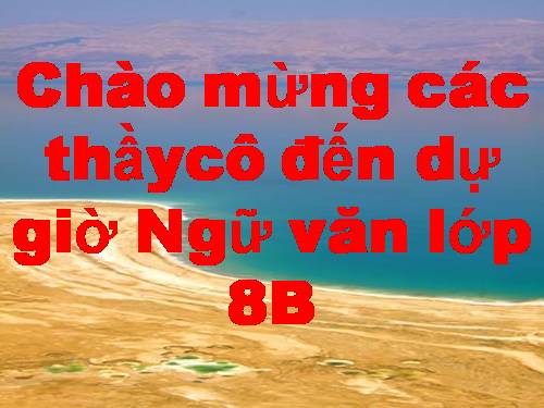 Bài 15. Vào nhà ngục Quảng Đông cảm tác