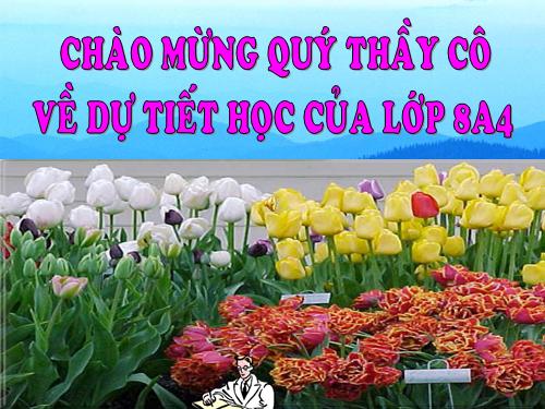 Bài 8. Chiếc lá cuối cùng