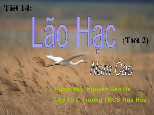 Bài 4. Lão Hạc