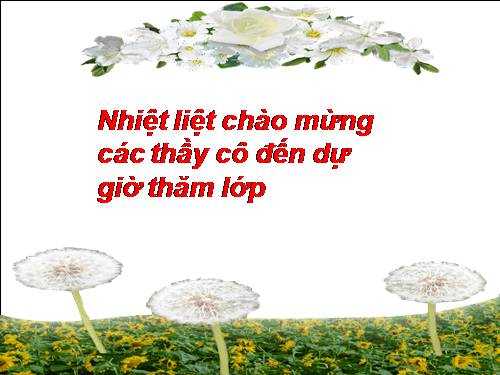 Bài 8. Chiếc lá cuối cùng