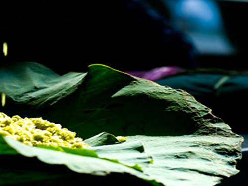 Bài 12. Phương pháp thuyết minh