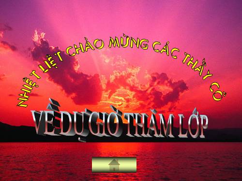 Bài 28. Lựa chọn trật tự từ trong câu