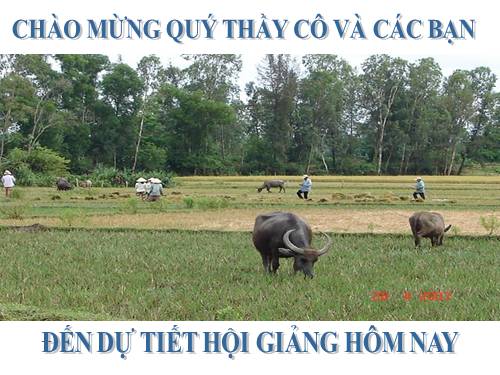 Bài 19. Quê hương