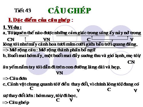 Bài 11. Câu ghép