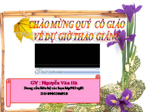 Bài 28. Lựa chọn trật tự từ trong câu