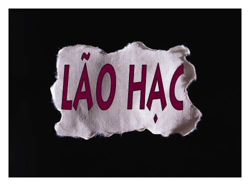 Bài 4. Lão Hạc