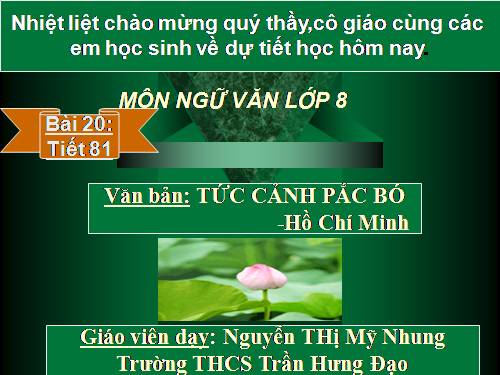 Bài 20. Tức cảnh Pác Bó