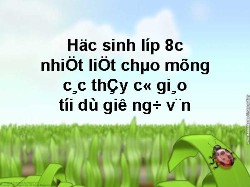 Bài 28. Lựa chọn trật tự từ trong câu