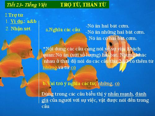 Bài 6. Trợ từ, thán từ