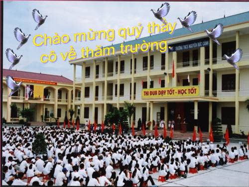 Bài 22. Câu phủ định