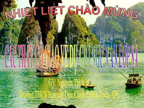 Bài 29. Lựa chọn trật tự từ trong câu (luyện tập)