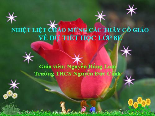 Bài 24. Nước Đại Việt ta