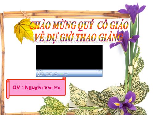 Bài 28. Lựa chọn trật tự từ trong câu