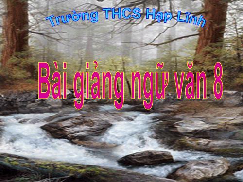 Bài 31. Văn bản tường trình