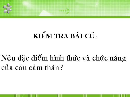 Bài 21. Câu trần thuật