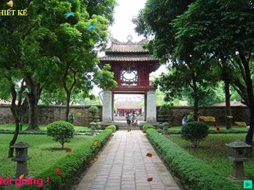 Bài 22. Câu phủ định