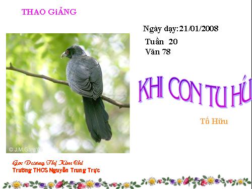 Bài 19. Khi con tu hú