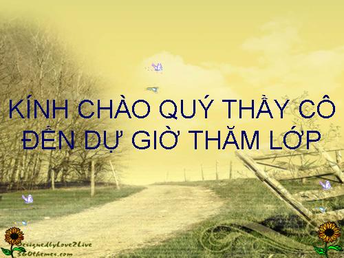 Bài 14. Dấu ngoặc kép