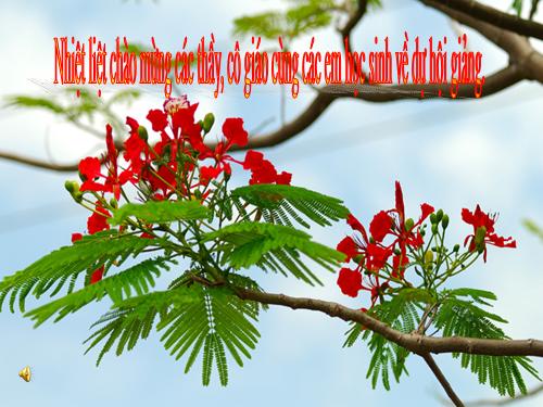 Bài 15. Ôn luyện về dấu câu