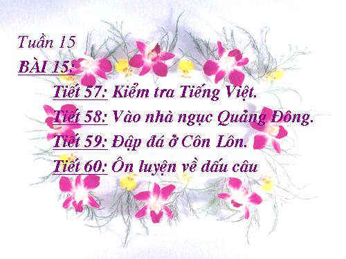 Bài 15. Vào nhà ngục Quảng Đông cảm tác