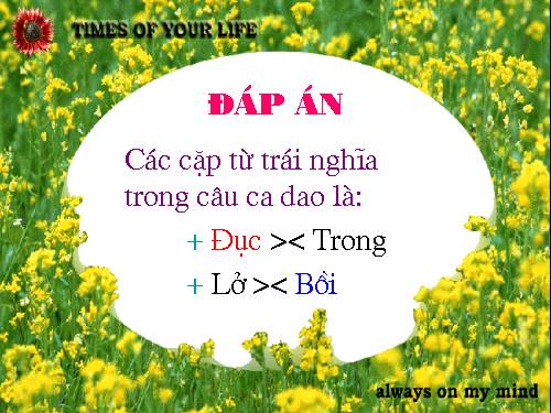 Từ trái nghĩa