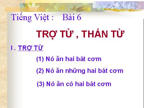 Bài 6. Trợ từ, thán từ